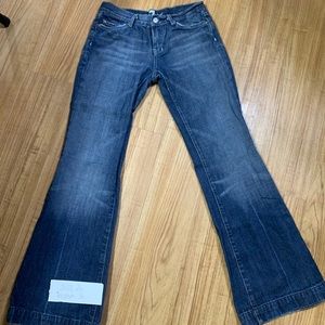 Seven For all Mankind Dojo